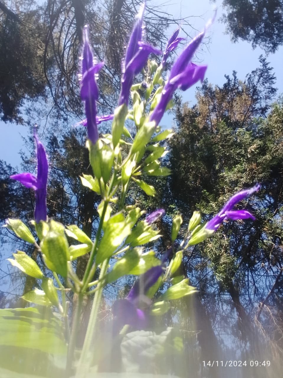 7a19446f-6fdc-4695-b357-09f95c417df4