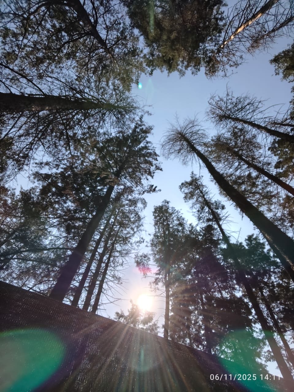 9c4d1eae-72aa-4f7c-8a26-25a1e14c5231