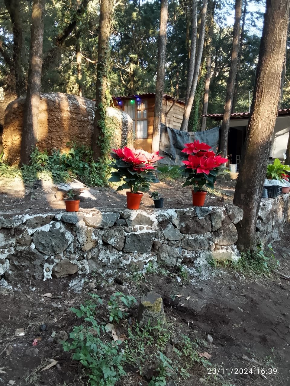 da878802-d8a8-45bf-a163-95eb786a97b4